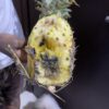 Pineapple (bendel) - per one