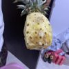 Pineapple (bendel) - per one