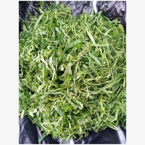 Fresh Afang leaf for Nigerian soup cooking