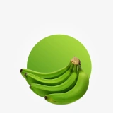 Fresh Igbo banana per bunch for healthy snacks and smoothies