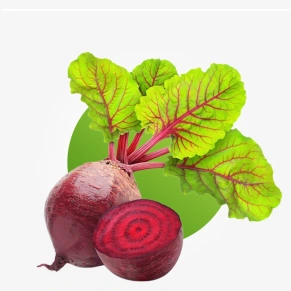 Fresh beetroot for juices smoothies and healthy meals