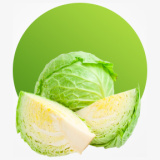 Fresh cabbage for salads soups and healthy cooking