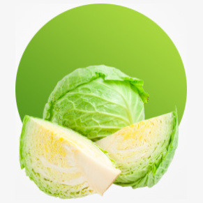 Fresh cabbage for salads soups and healthy cooking