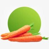 Fresh carrots for juices salads soups and healthy cooking