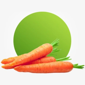 Fresh carrots for juices salads soups and healthy cooking