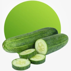 Fresh cucumber for salads smoothies and healthy snacks