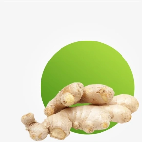 Fresh ginger root for teas juices and cooking