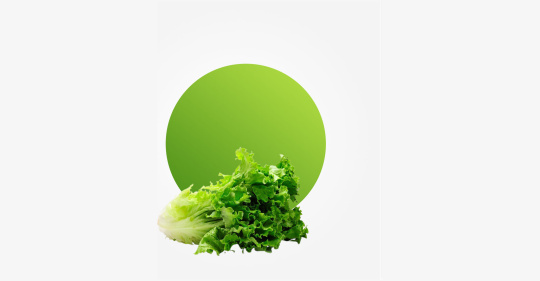 Lettuce