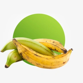 Plantain - per bunch (off season)