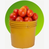 Tomatoes Grade A - Paint bucket 3kg