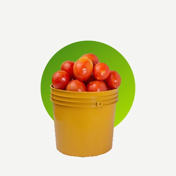 Tomatoes - Image 4