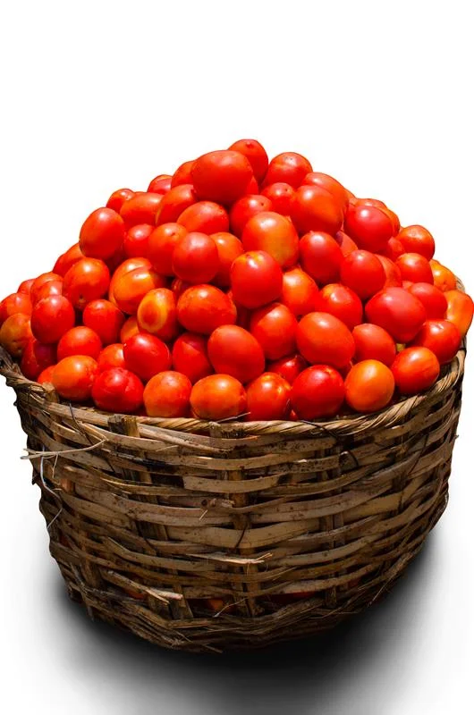 Tomatoes Grade A