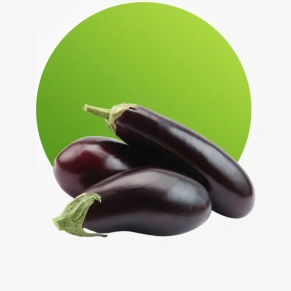 Fresh aubergine eggplant for soups and healthy cooking