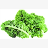 Fresh kale leaves for smoothies salads and healthy cooking