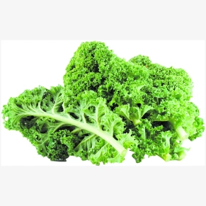Fresh kale leaves for smoothies salads and healthy cooking
