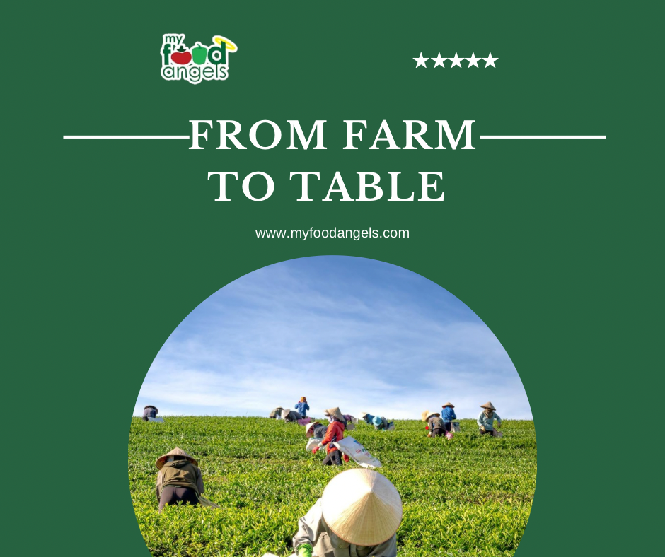 Farm To Table: Our Fresh Food Journey