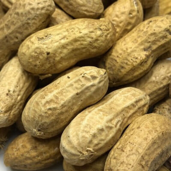 Raw Fresh Groundnuts - 1.5kg Bucket