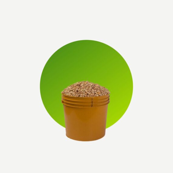 Ofada rice (stone-free) -Custard bucket