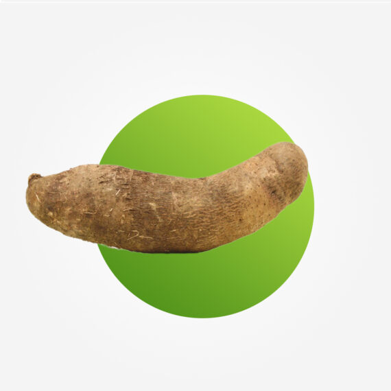 Yam - medium tuber (Off season)