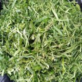 Afang - per bunch