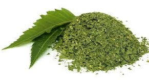 Dry Neem leaves (Dogoyaro) - 200g