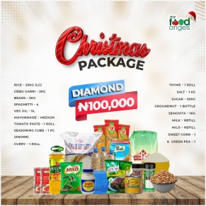Christmas Holiday Gift