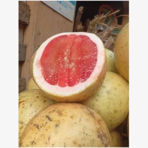 Red Grapefruit per pcs